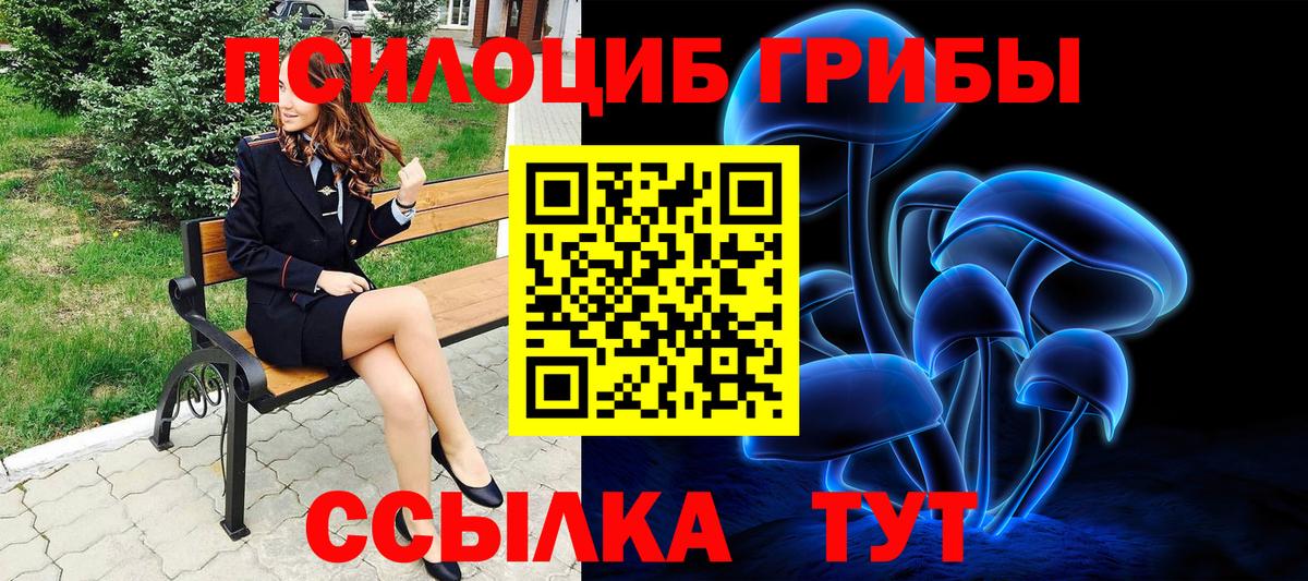 Псилоцибиновые грибы Psilocybine cubensis Татарск