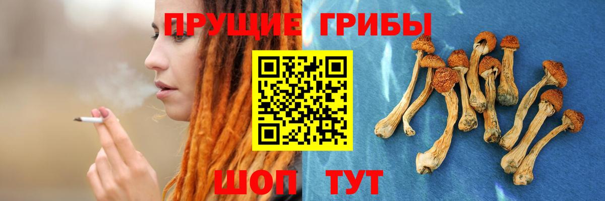 Галлюциногенные грибы GOLDEN TEACHER  Псилоцибиновые грибы мицелий  Татарск  Вход с VPN 